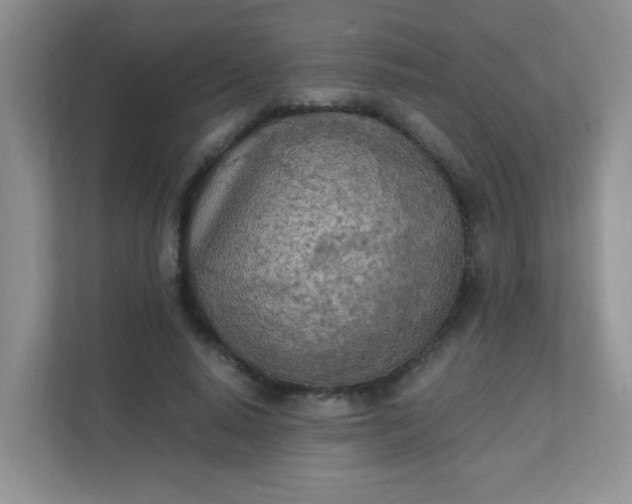 X0000111600640200907301447