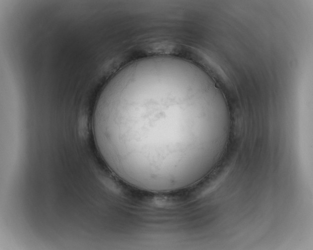 X0000111600641200907301447