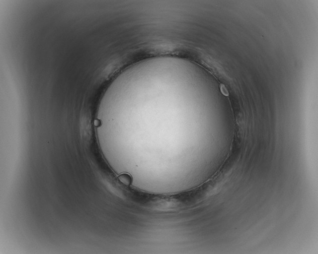 X0000111600642200907301447