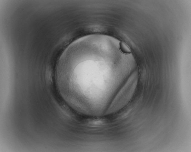 X0000111600643200907301447