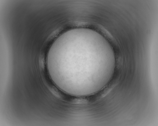 X0000111600644200907301447