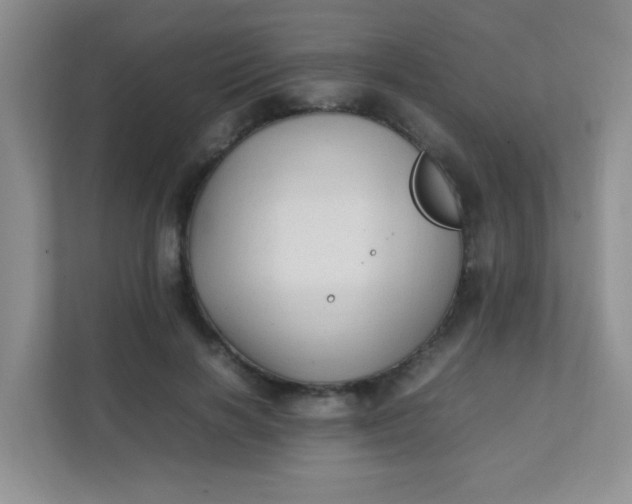 X0000111600646200907301447