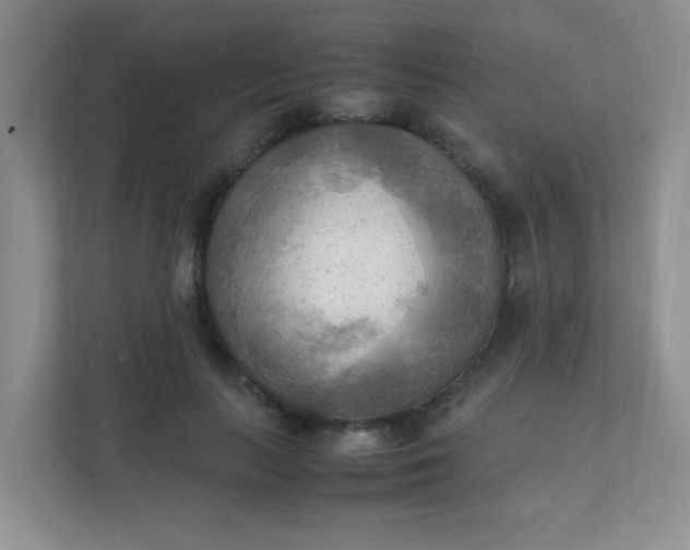 X0000111600647200907301447