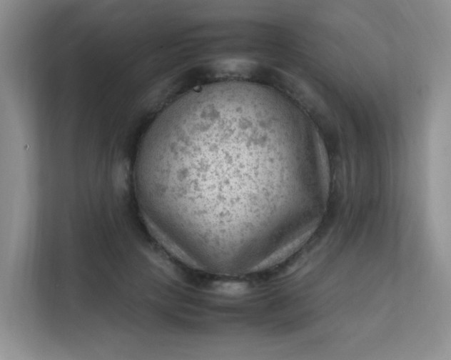 X0000111600649200907301447