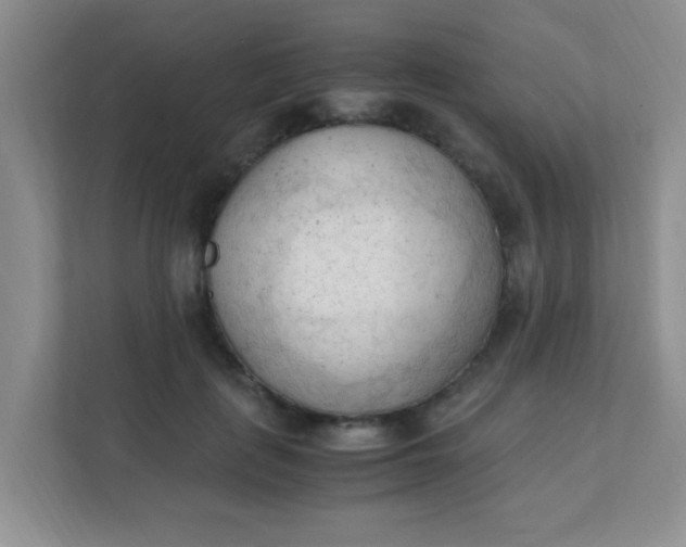 X0000111600651200907301447