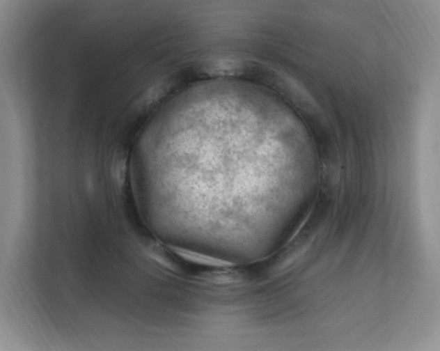 X0000111600652200907301447
