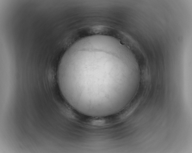 X0000111600653200907301447