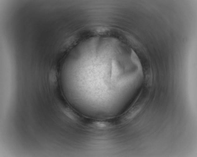 X0000111600654200907301447