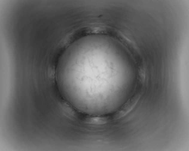 X0000111600657200907301448