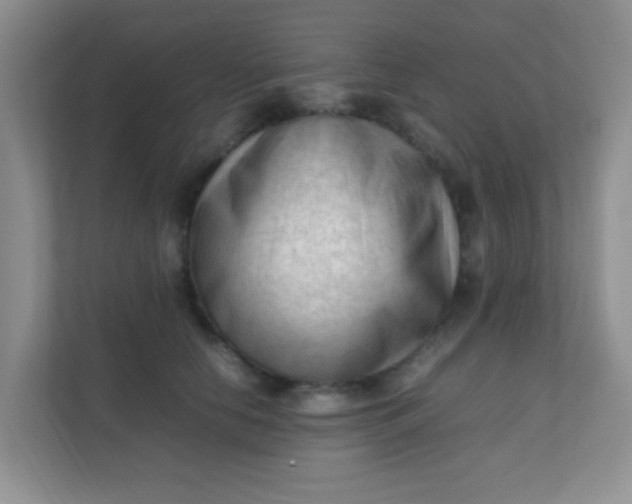 X0000111600658200907301448