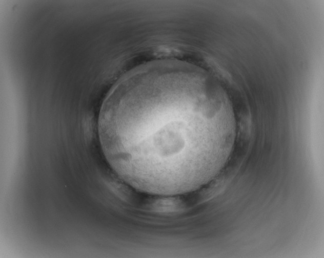 X0000111600659200907301448