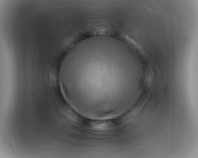 X0000111600661200907301448