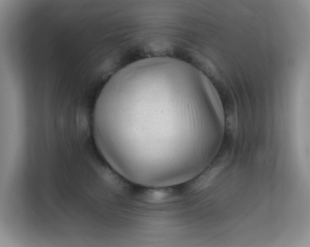 X0000111600662200907301448
