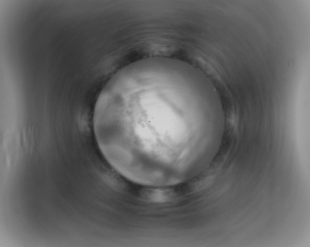 X0000111600663200907301448