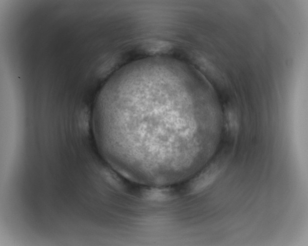 X0000111600664200907301448