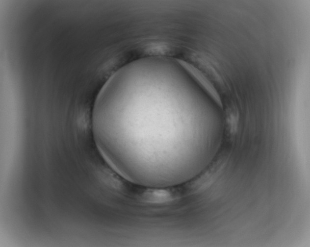 X0000111600665200907301448