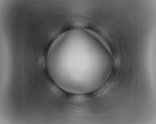 X0000111600666200907301448