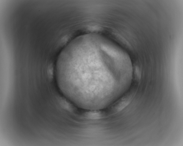 X0000111600668200907301448