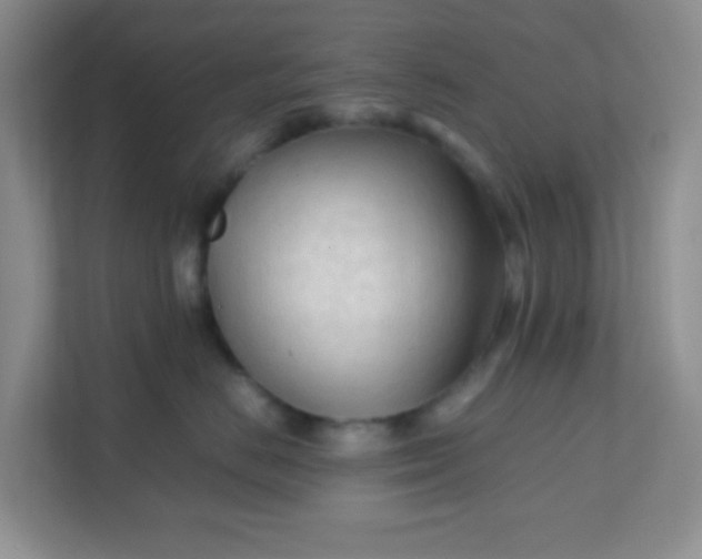 X0000111600670200907301448