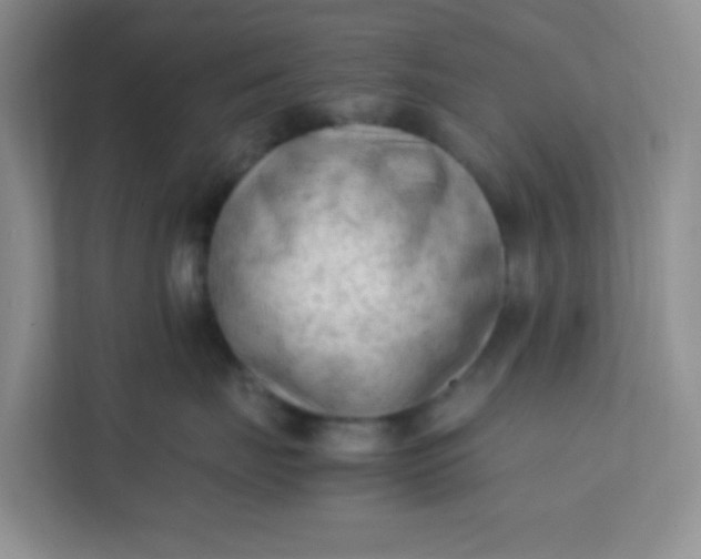 X0000111600671200907301448