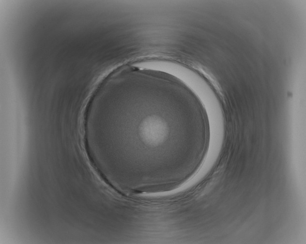 X0000111600673200907301447