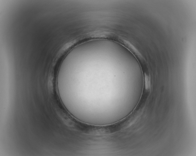 X0000111600675200907301447