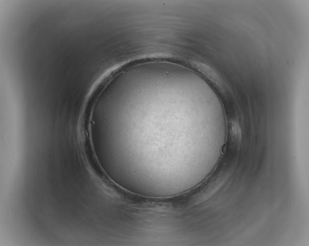 X0000111600676200907301447
