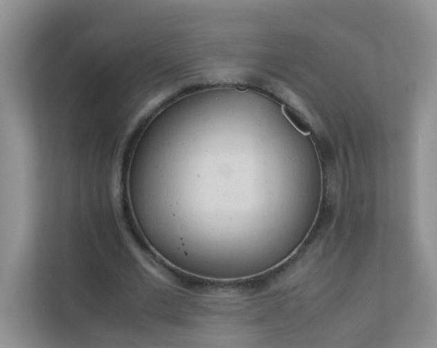 X0000111600677200907301447