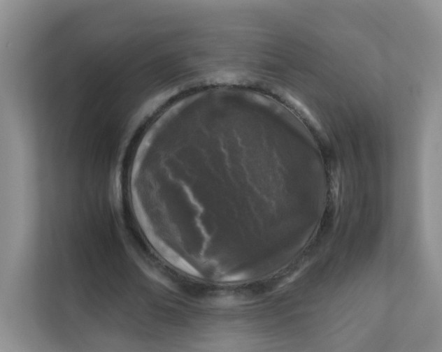 X0000111600678200907301447