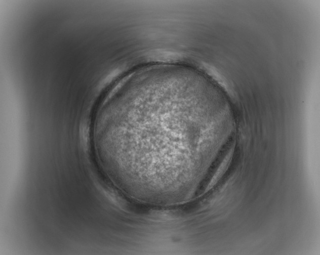 X0000111600679200907301447
