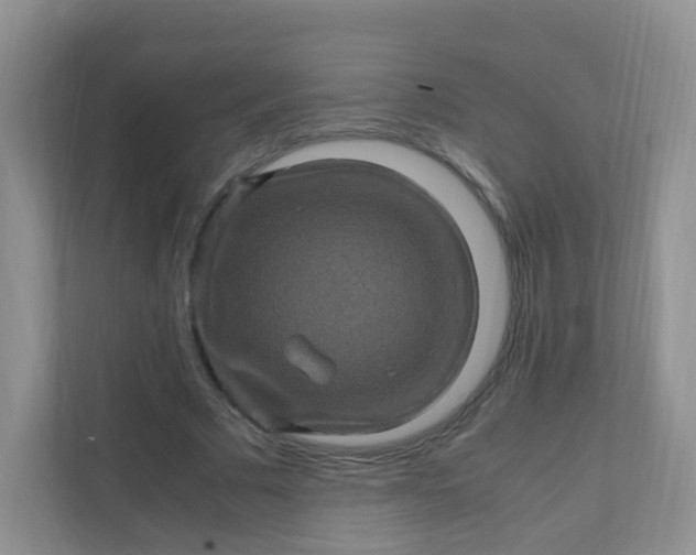 X0000111600681200907301447