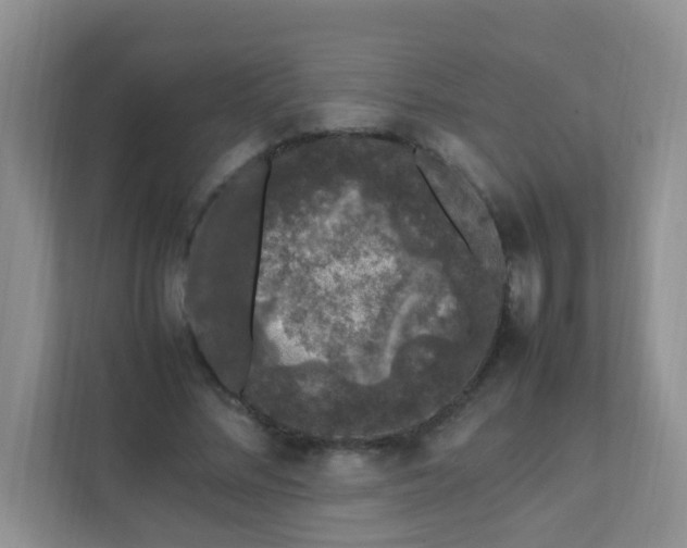 X0000111600684200907301447