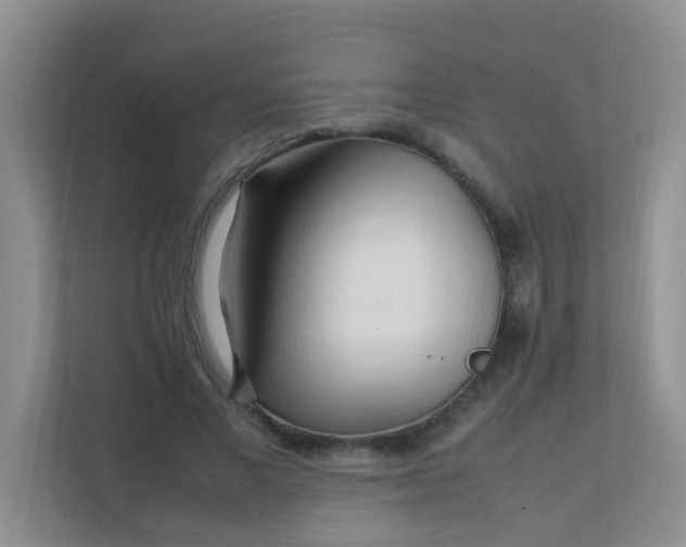 X0000111600685200907301447