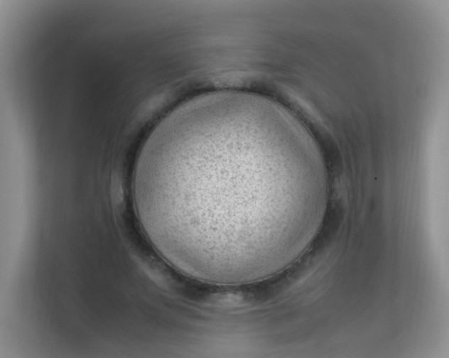 X0000111600687200907301447