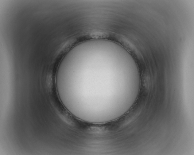 X0000111600690200907301447