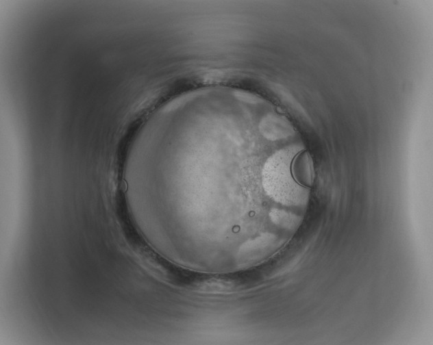 X0000111600691200907301447