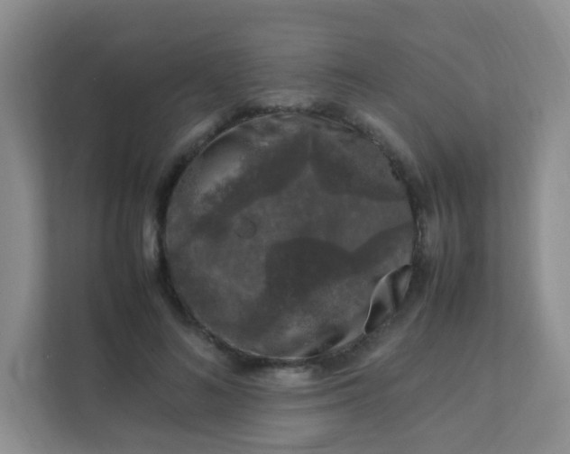 X0000111600692200907301447