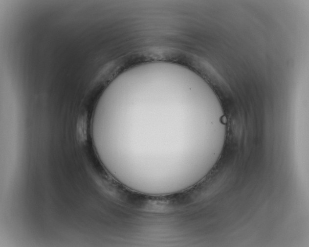 X0000111600694200907301447