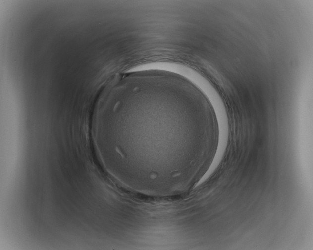 X0000111600696200907301447