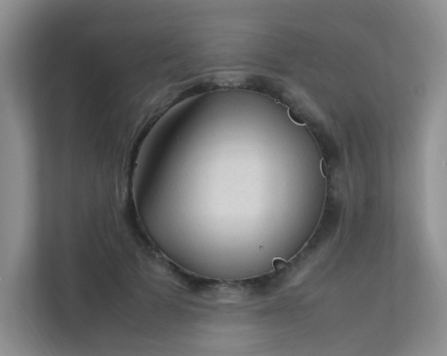 X0000111600697200907301447