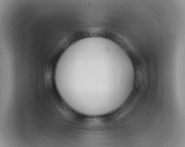 X0000111600698200907301447