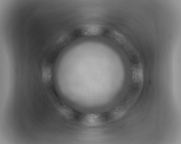 X0000111600701200907301447
