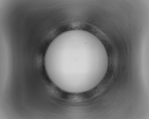 X0000111600702200907301447