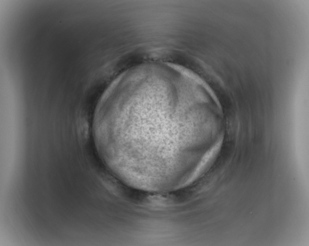 X0000111600703200907301447