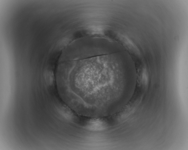 X0000111600704200907301447