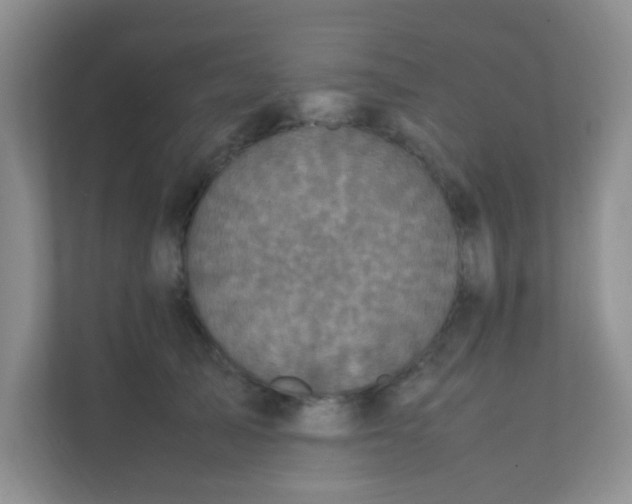 X0000111600705200907301447
