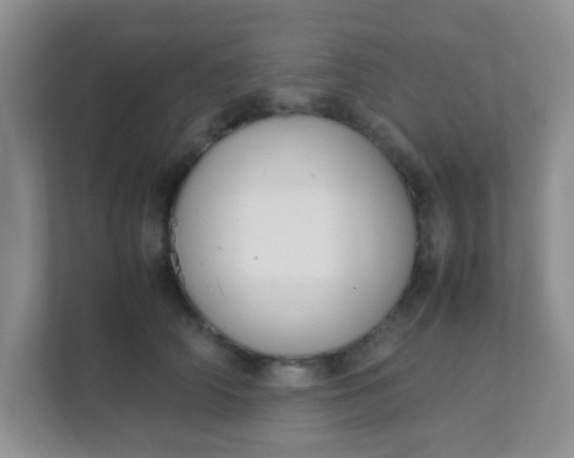 X0000111600706200907301447