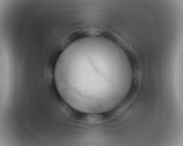 X0000111600707200907301447