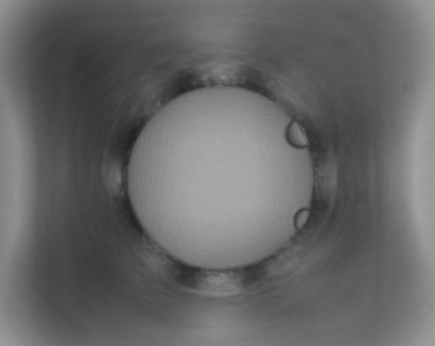 X0000111600709200907301447