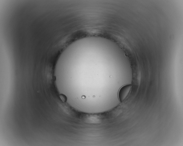 X0000111600710200907301447